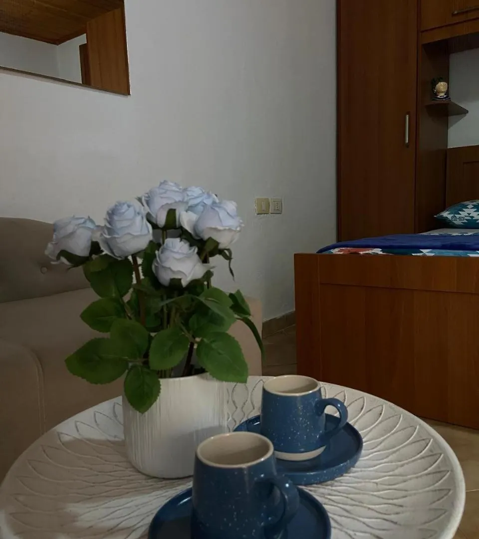Ramo'S Charming Studio Apartment With Sunlit Veranda - 2Nd Vlore Albania