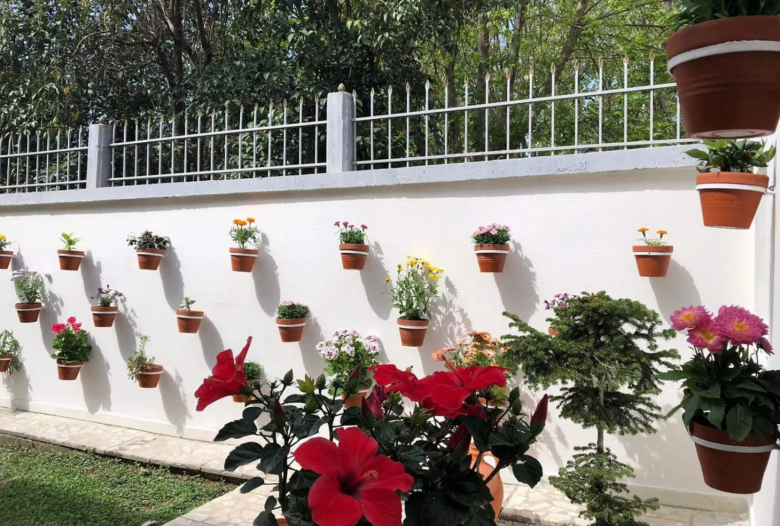 Ramo'S Charming Studio Apartment With Sunlit Veranda - 2Nd Vlore Albania